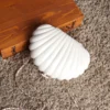 White Acrylic Seashell Shape Women's Handbags 3